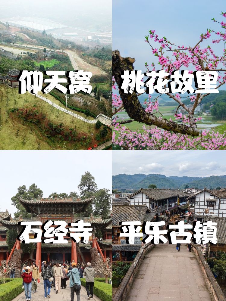 成都桃花故里景区门票图片