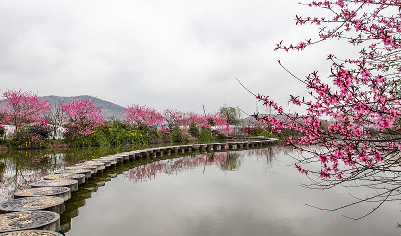 龙泉驿桃花故里门票图片