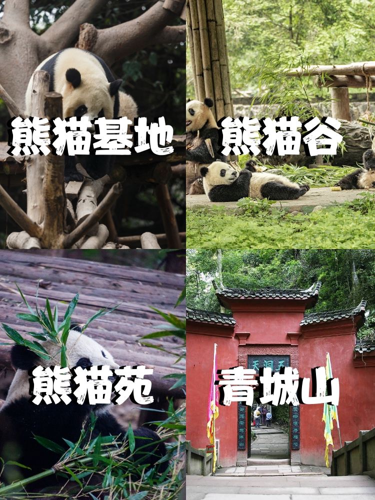 小熊猫发源地图片